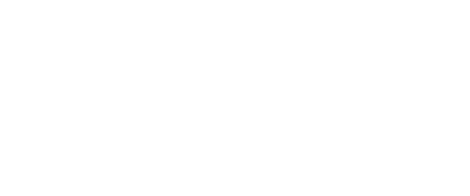 The full Local Vineyard Logo. Links back to the homepage.